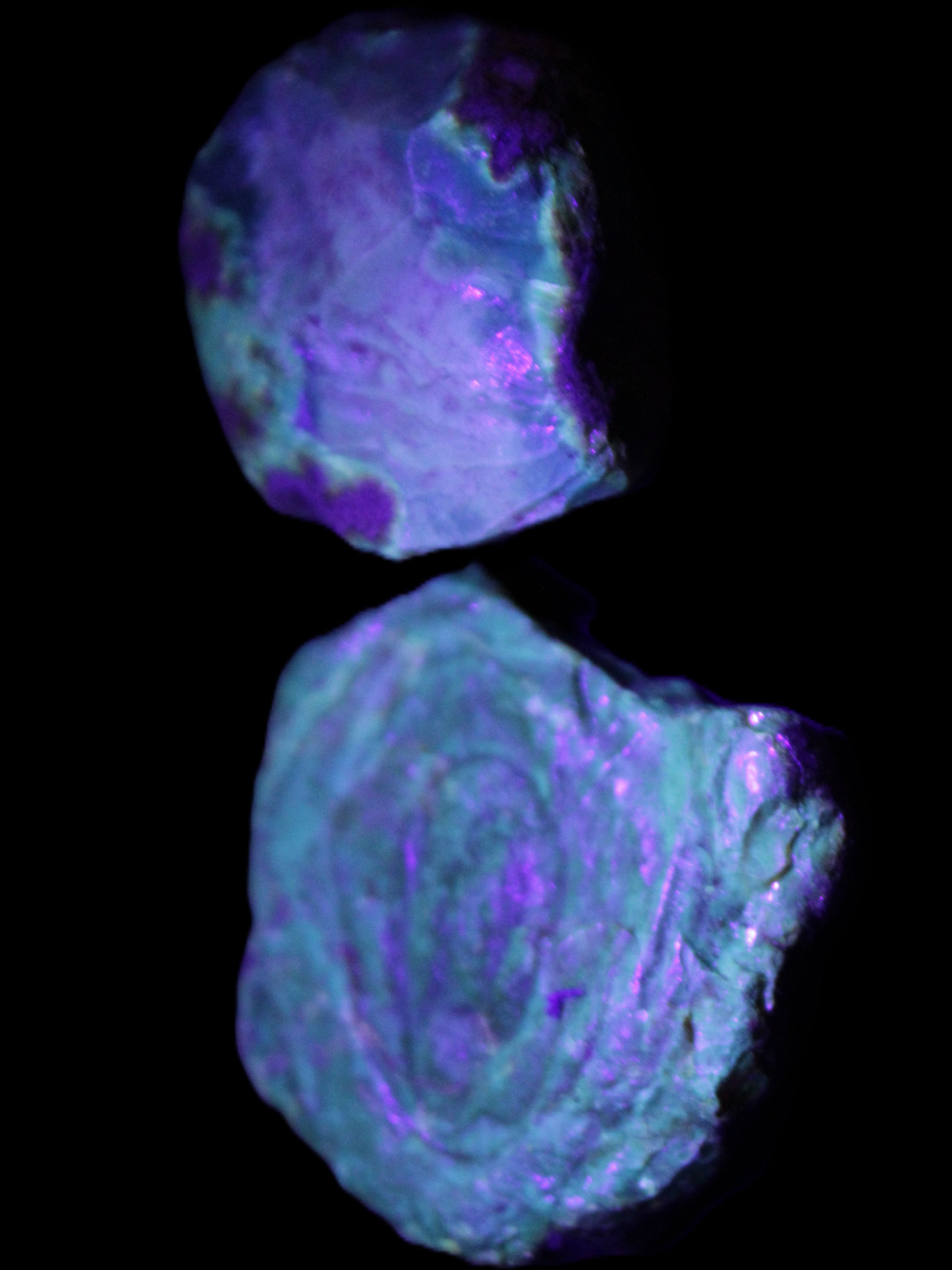 Blue Amber from Mozambique 14g in UV light - Rocks and Things Store
