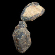 Blue Amber from Mozambique 1/2 pieces 37-40mm 14-20g in sunlight - Rocks and Things Store