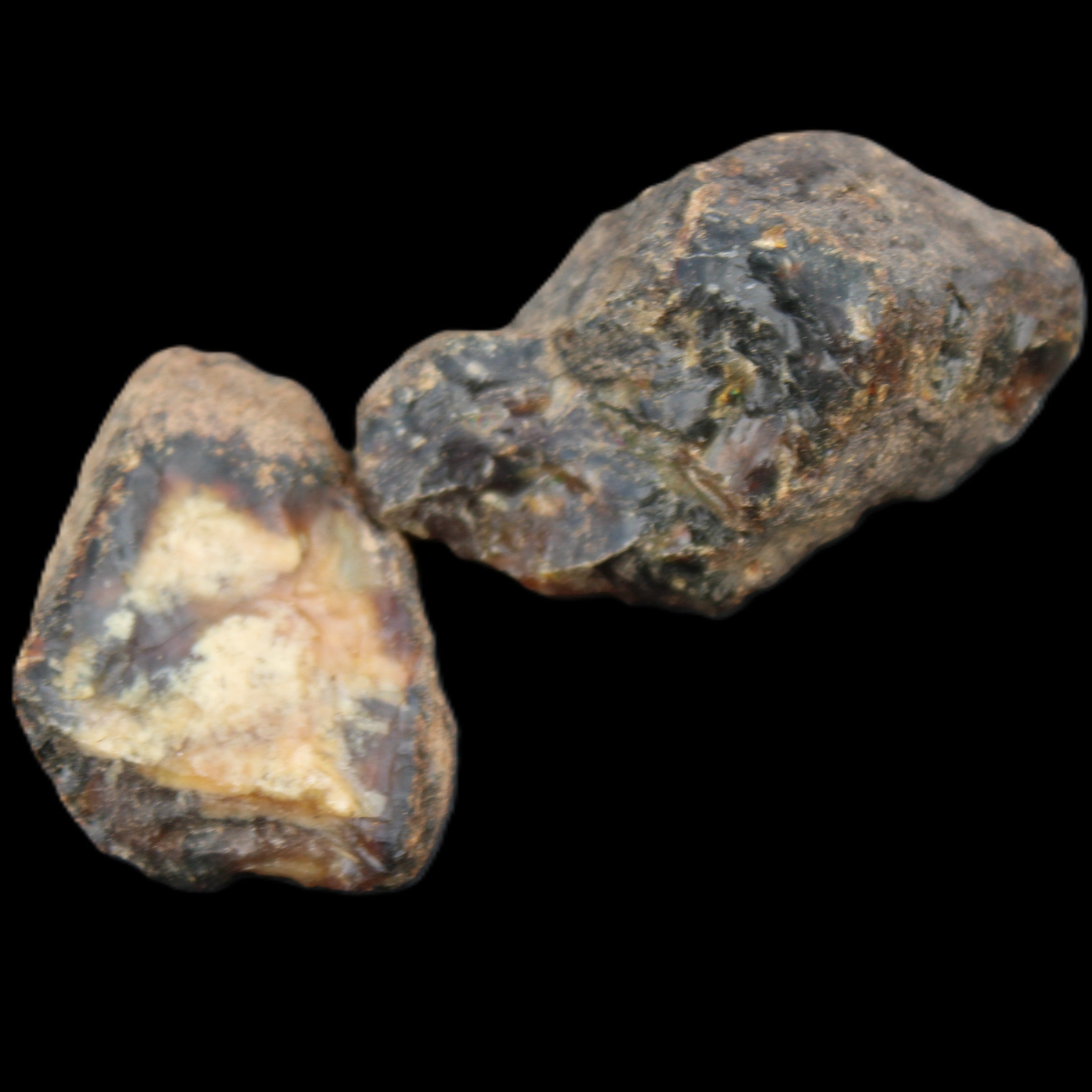 Blue Amber from Mozambique 1/2 pieces 37-40mm 14-20g in sunlight - Rocks and Things Store