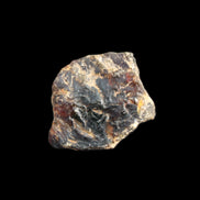 Blue Amber from Mozambique 1/2 pieces 37-40mm 14-20g in sunlight - Rocks and Things Store