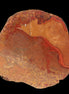 Surya Agate geode 179g in sunlight -  Rocks and Things Store