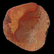 Surya Agate geode 179g in sunlight -  Rocks and Things Store