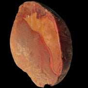 Surya Agate geode 179g in sunlight -  Rocks and Things Store