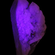 White Candle Quartz cluster from Inner Mongolia 267g in UV light -Rocks and Things Store