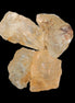 Golden Scapolite from Tanzania 4-6 crystals 11-12g in sunshine - Rocks and Things Store