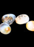 Agate 3/4 polished stones 16-17g in sunlight - Rocks and Things Store