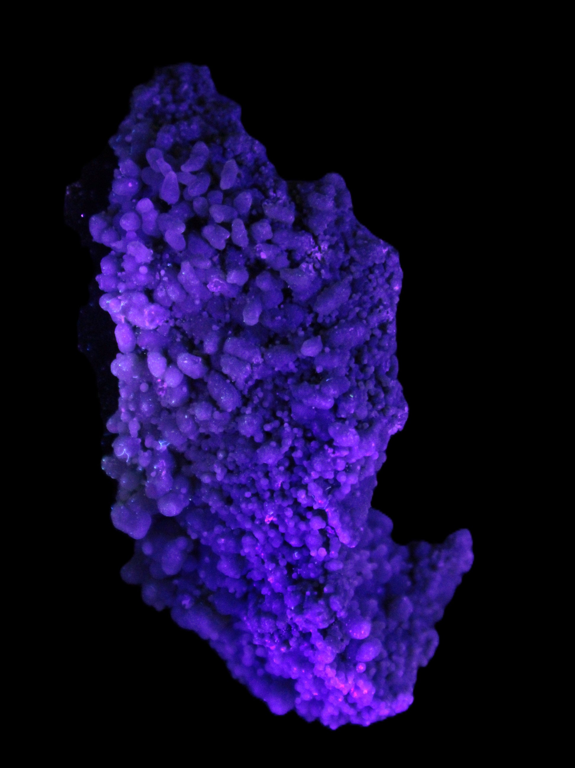 Purple Grape Agate botryoidal chalcedony 64g in UV light