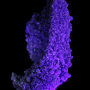 Purple Grape Agate botryoidal chalcedony 64g in UV light - Rocks and Things Store