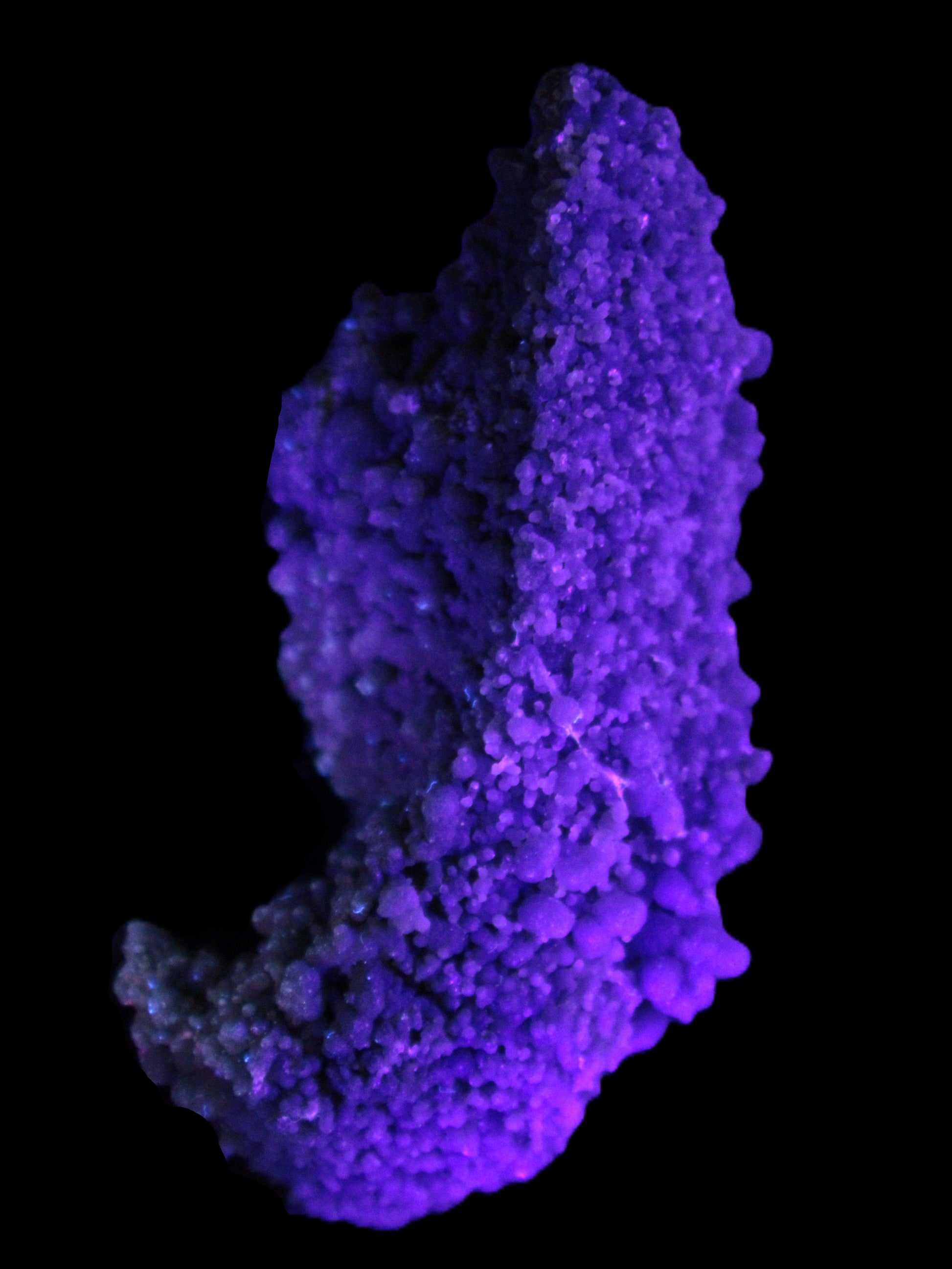 Purple Grape Agate botryoidal chalcedony 64g in UV light - Rocks and Things Store