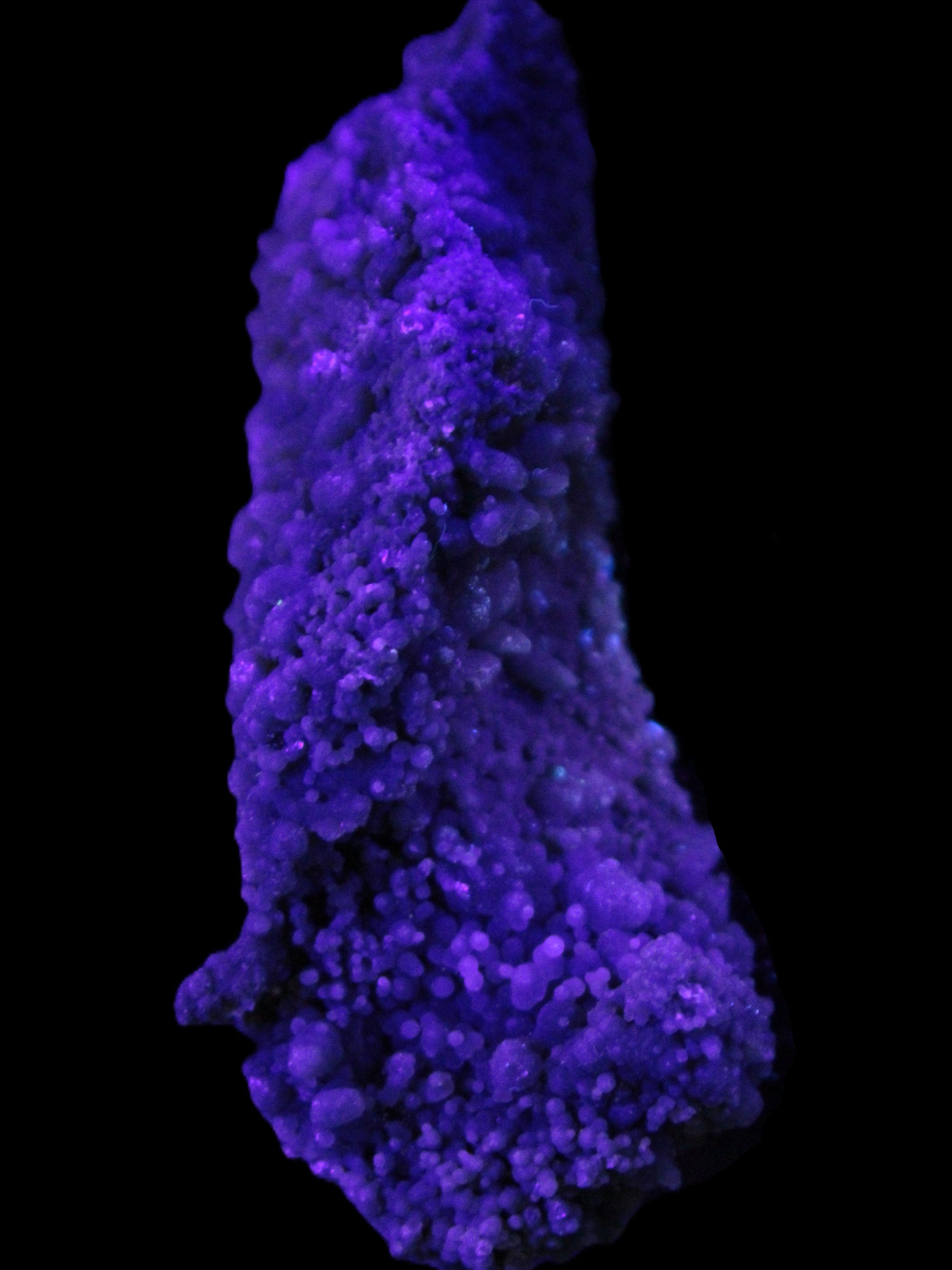 Purple Grape Agate botryoidal chalcedony 64g in UV light - Rocks and Things Store
