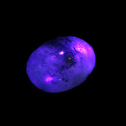 Labradorite small tumbled stone 8-10g in UV light - Rocks and Things Store