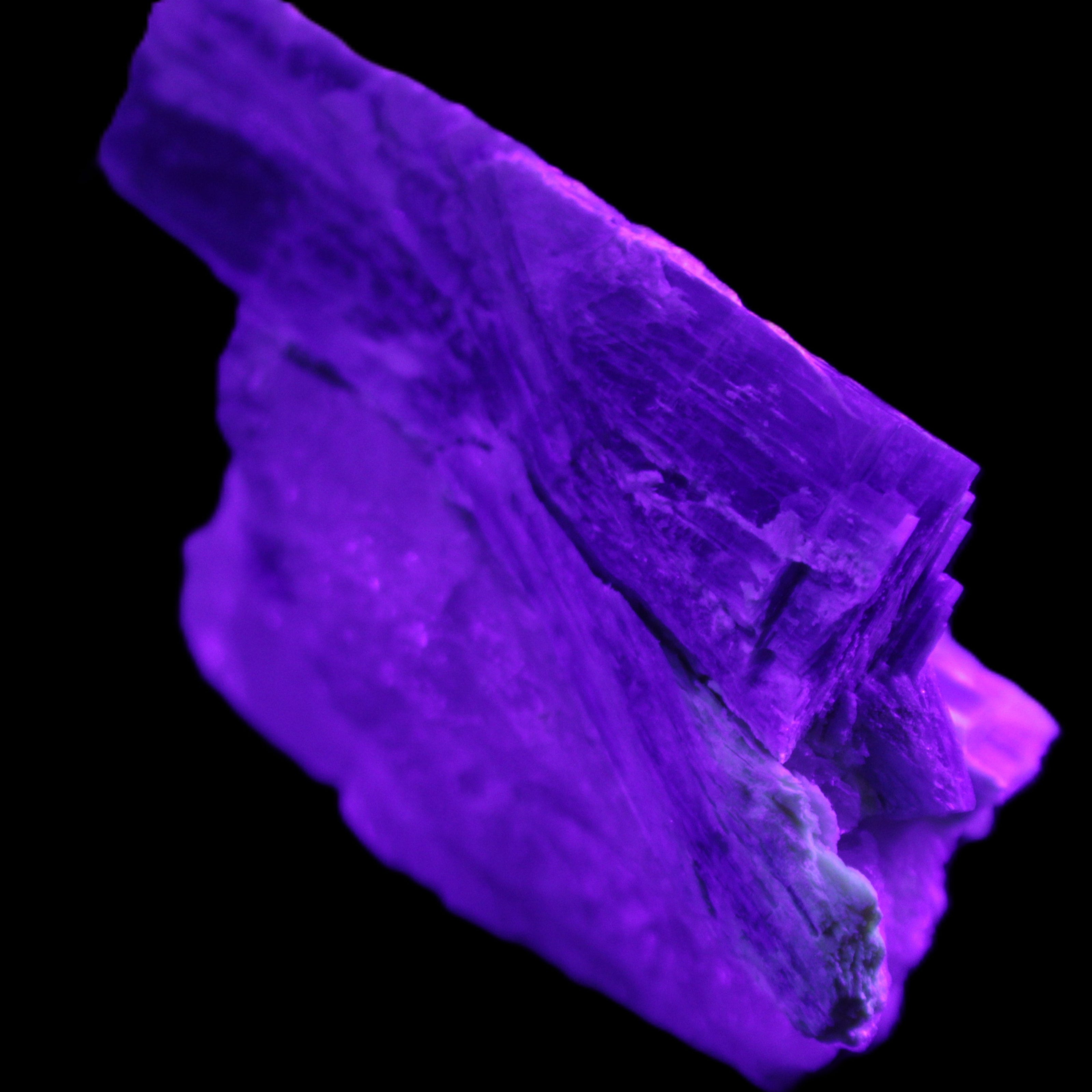 Kyanite blade cluster on Quartz 102*56*42mm 265g in UV light - Rocks and Things Store