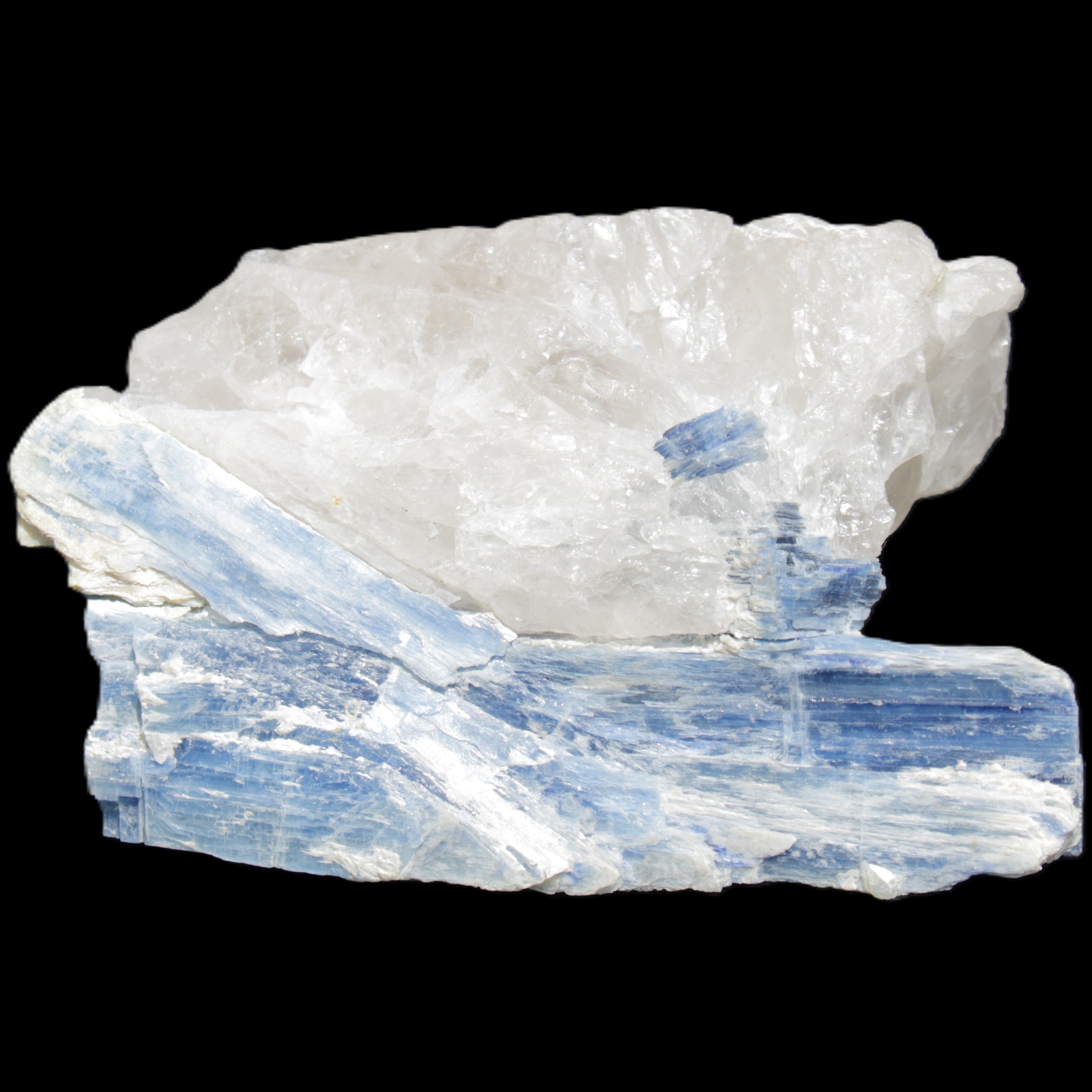 Kyanite blade cluster on Quartz 102*56*42mm 265g in sunlight - Rocks and Things Store