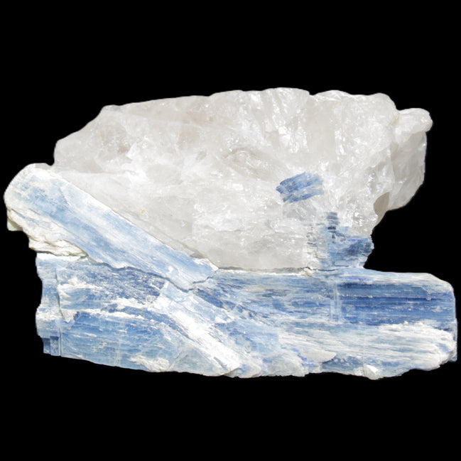 Kyanite blade cluster on Quartz 102*56*42mm 265g in sunlight - Rocks and Things Store