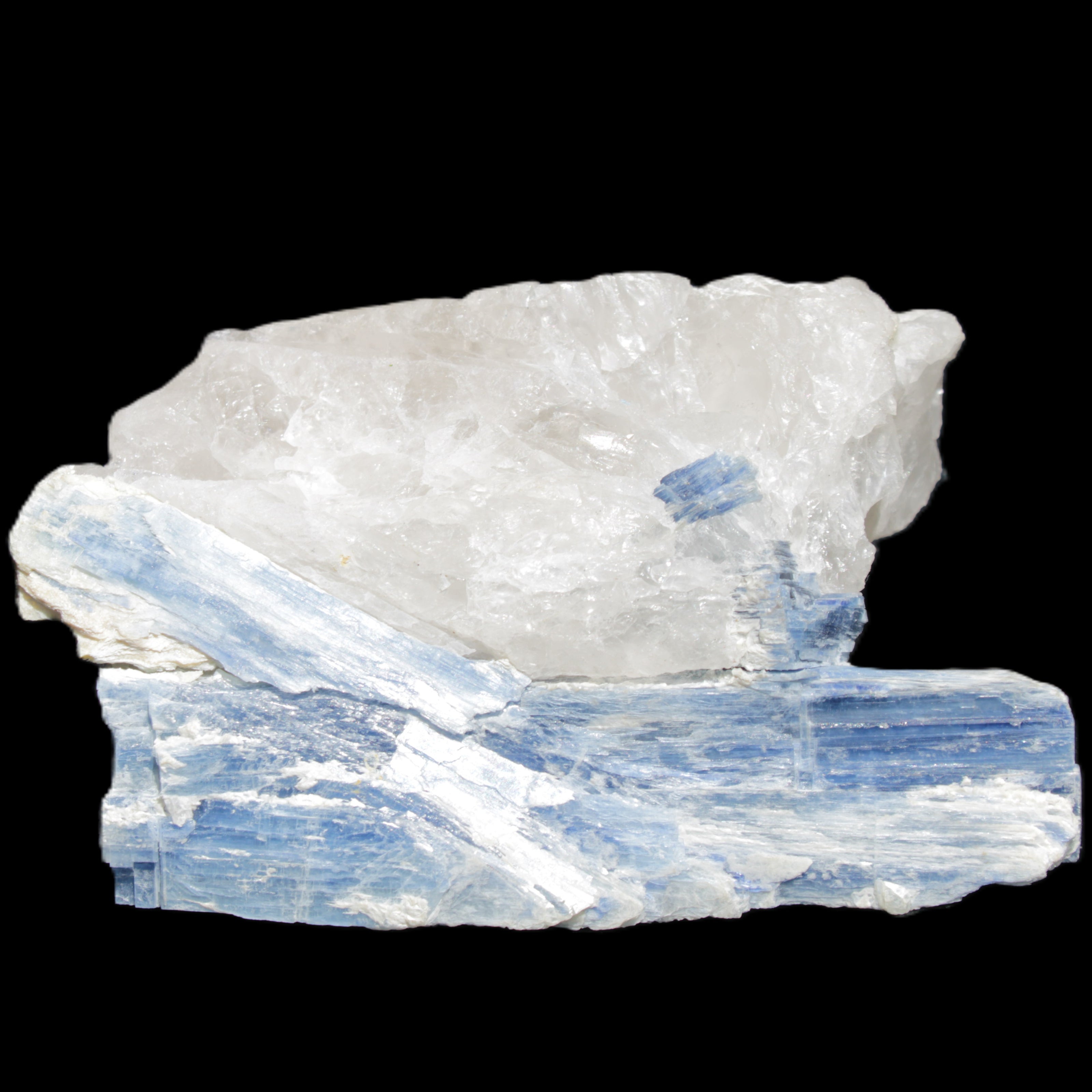 Kyanite blade cluster on Quartz 102*56*42mm 265g in sunlight - Rocks and Things Store