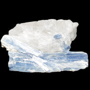 Kyanite blade cluster on Quartz 102*56*42mm 265g in sunlight - Rocks and Things Store