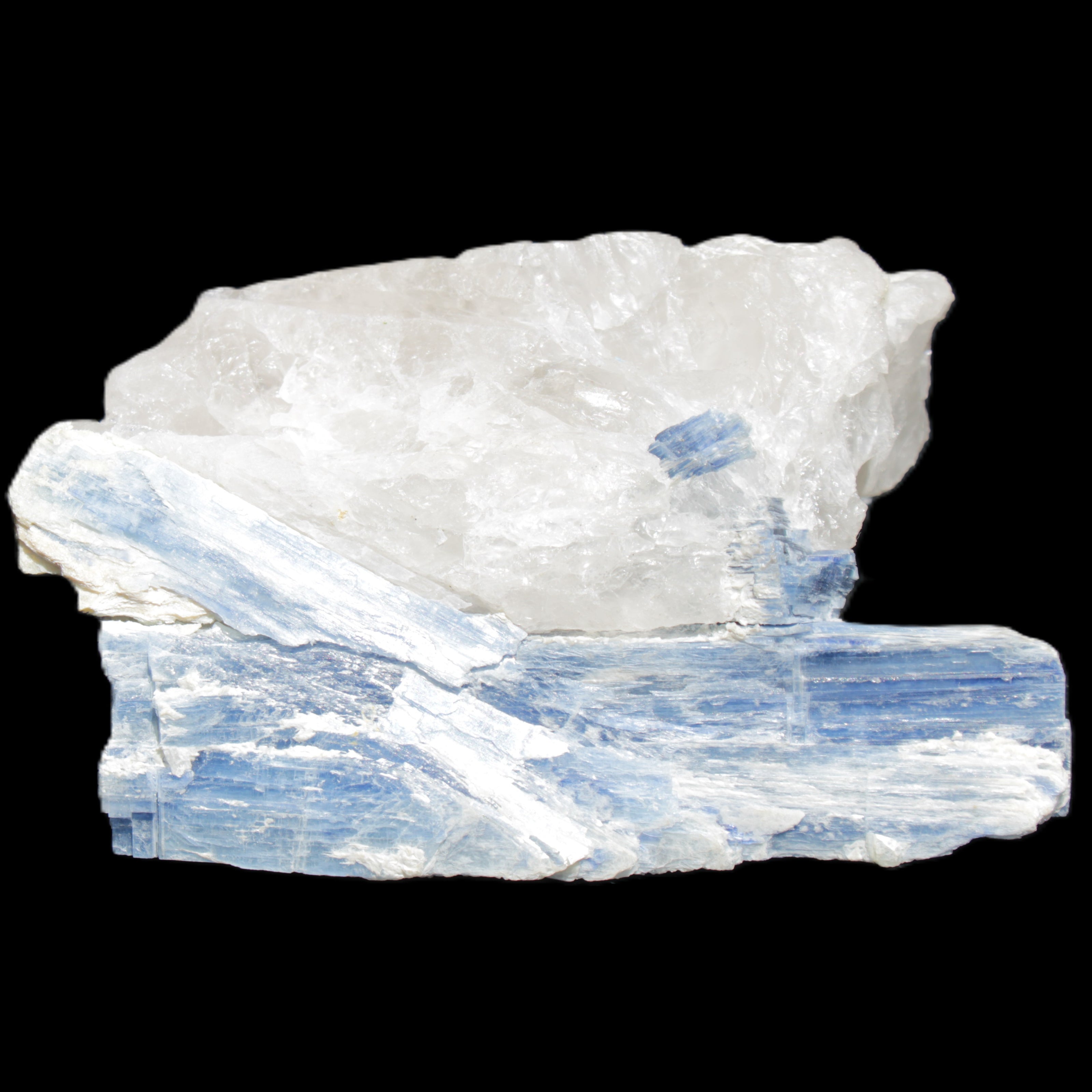 Kyanite blade cluster on Quartz 102*56*42mm 265g in sunlight - Rocks and Things Store