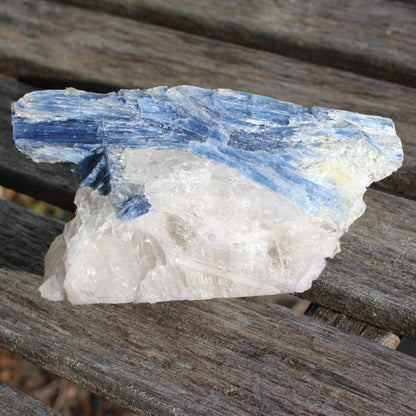 Kyanite blade cluster on clear Quartz 315g Rocks and Things