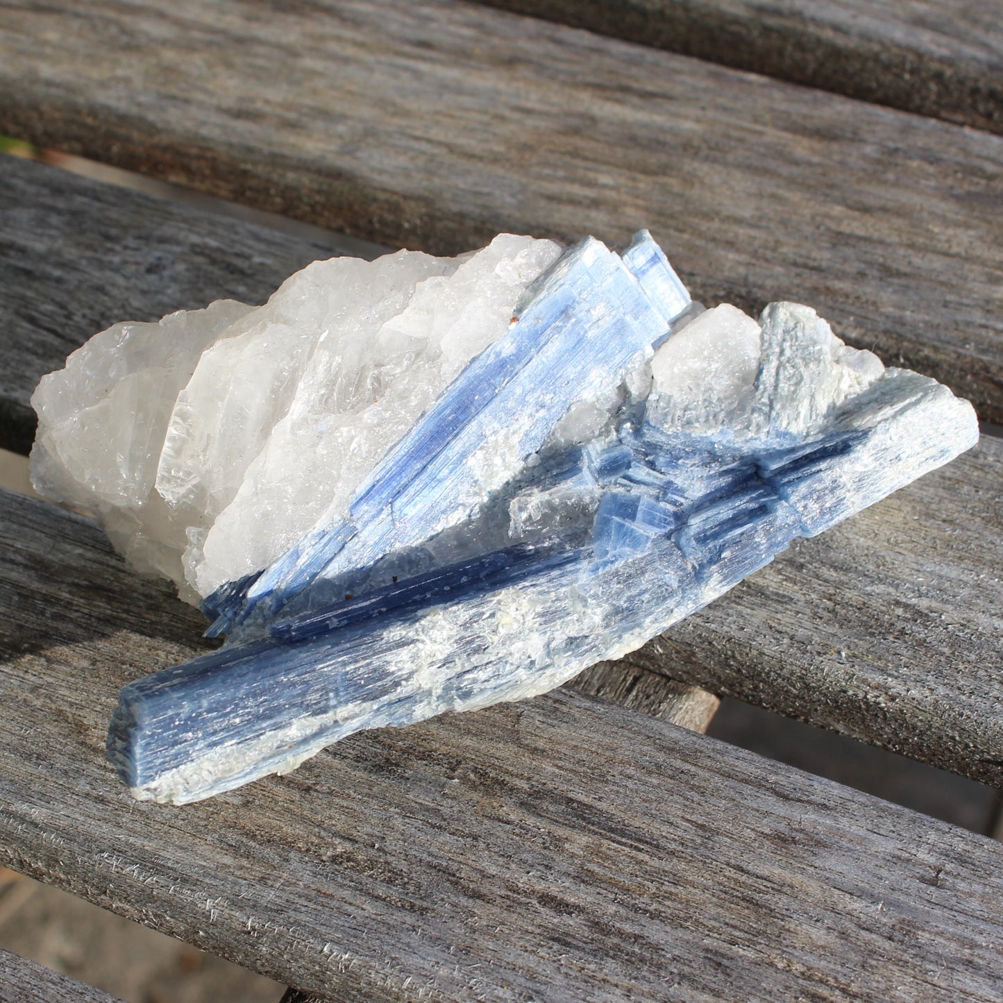 Kyanite blade cluster on clear Quartz 315g Rocks and Things