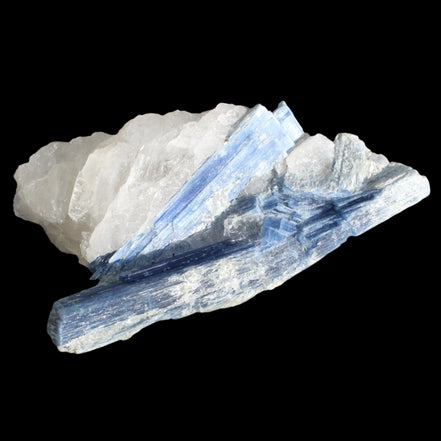 Kyanite blade cluster on clear Quartz 315g in sunlight - Rocks and Things Store