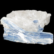 Kyanite blade cluster on Quartz 102*56*42mm 265g in sunlight - Rocks and Things Store