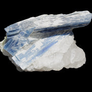 Kyanite blade cluster on Quartz 102*56*42mm 265g in sunlight - Rocks and Things Store