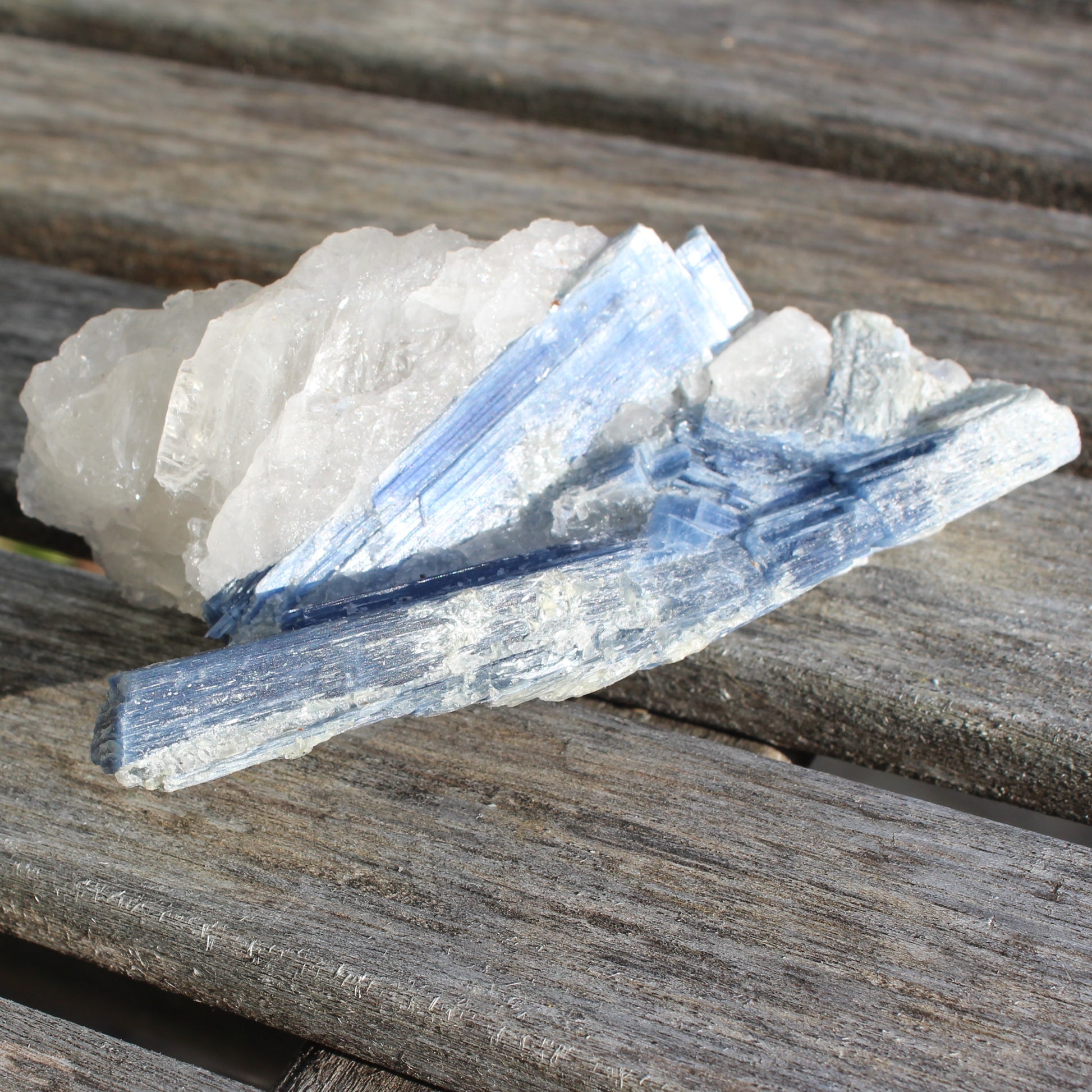 Kyanite blade cluster on clear Quartz 315g Rocks and Things