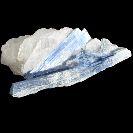 Kyanite blade cluster on clear Quartz 315g in sunlight - Rocks and Things Store