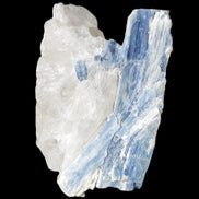 Kyanite blade cluster on Quartz 102*56*42mm 265g in sunlight - Rocks and Things Store