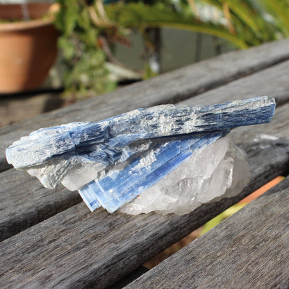 Kyanite blade cluster on clear Quartz 315g Rocks and Things