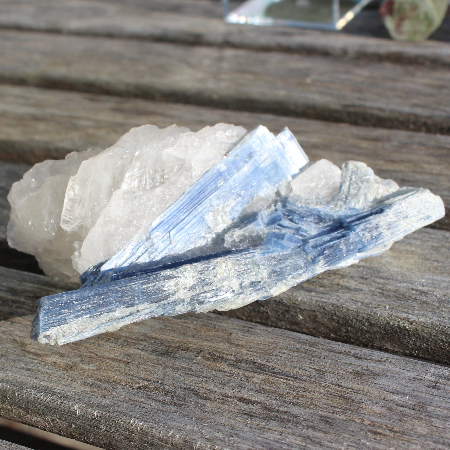 Kyanite blade cluster on clear Quartz 315g Rocks and Things