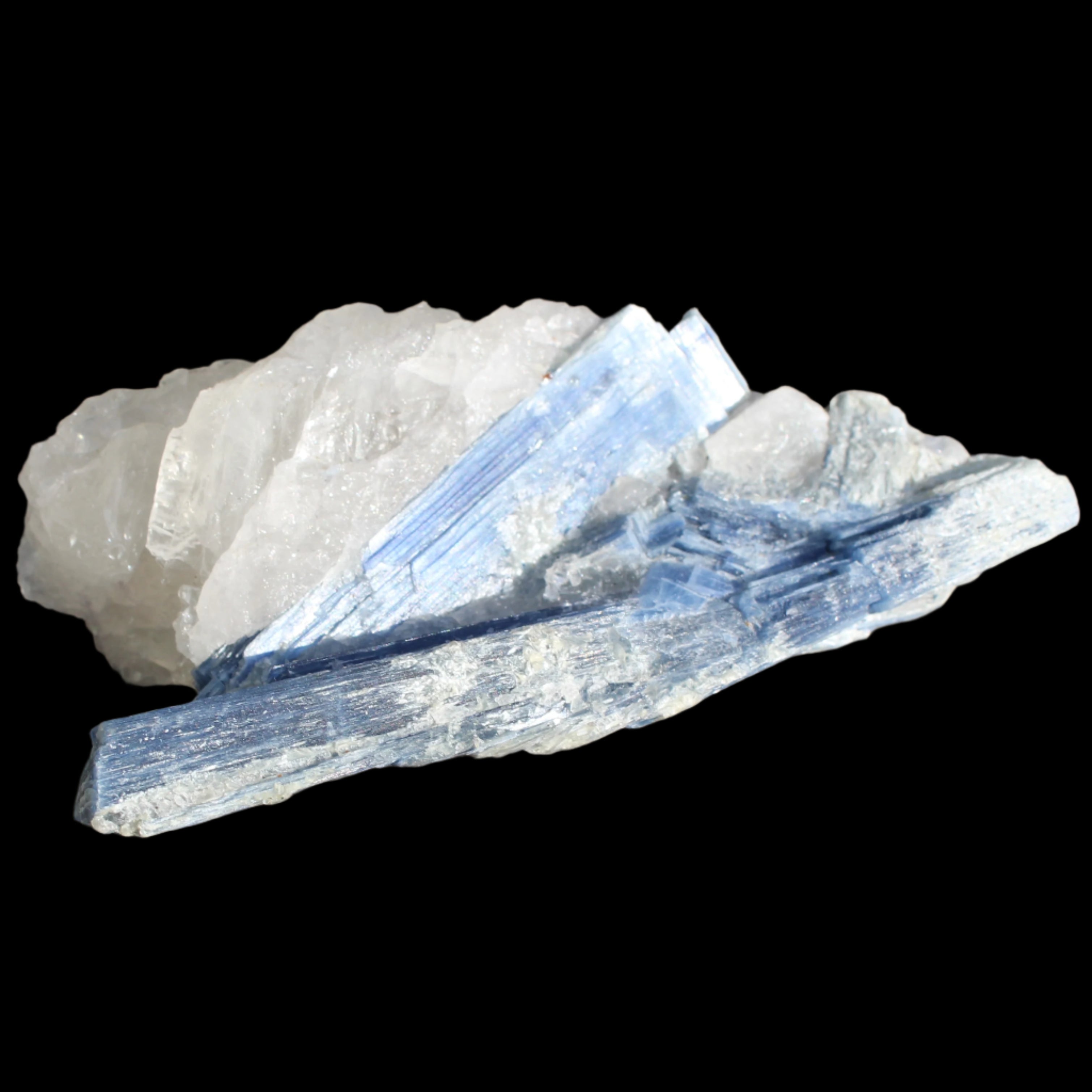 Kyanite blade cluster on clear Quartz 315g Rocks and Things