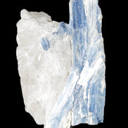 Kyanite blade cluster on Quartz 102*56*42mm 265g in sunlight - Rocks and Things Store