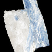 Kyanite blade cluster on Quartz 102*56*42mm 265g in sunlight - Rocks and Things Store