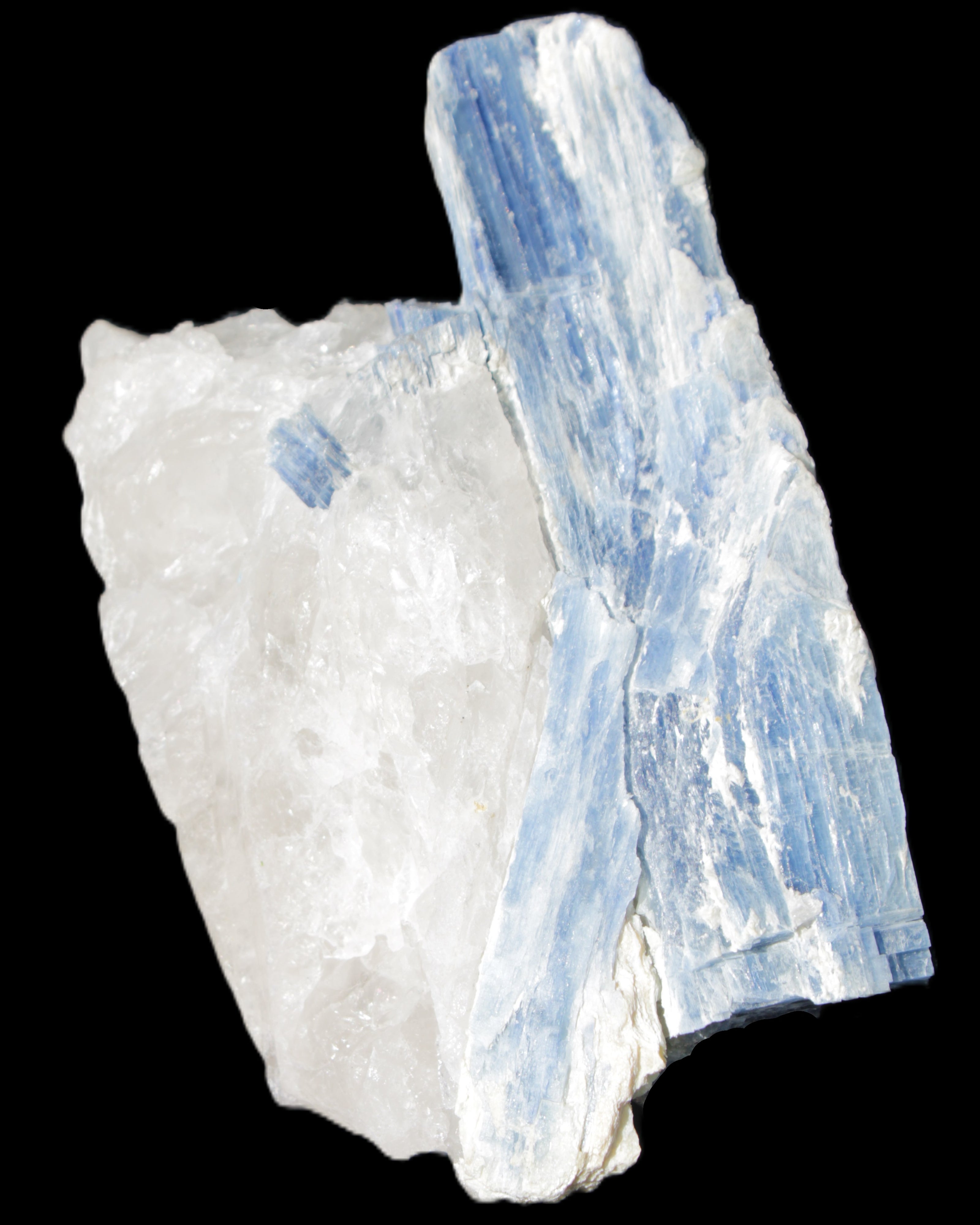 Kyanite blade cluster on Quartz 102*56*42mm 265g in sunlight - Rocks and Things Store