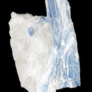 Kyanite blade cluster on Quartz 102*56*42mm 265g in sunlight - Rocks and Things Store