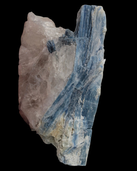 Kyanite blade cluster on clear Quartz 315g in sunlight - Rocks and Things Store