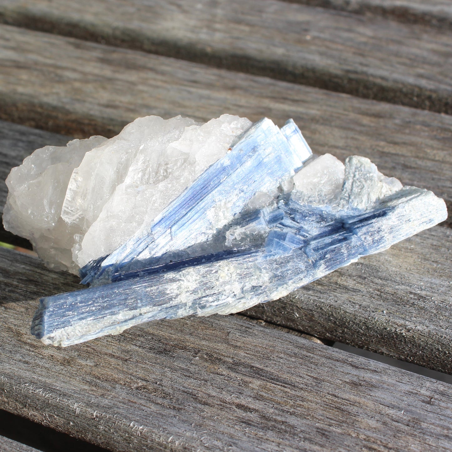 Kyanite blade cluster on clear Quartz 315g Rocks and Things