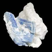 Kyanite blade cluster on Quartz 102*56*42mm 265g in sunlight - Rocks and Things Store