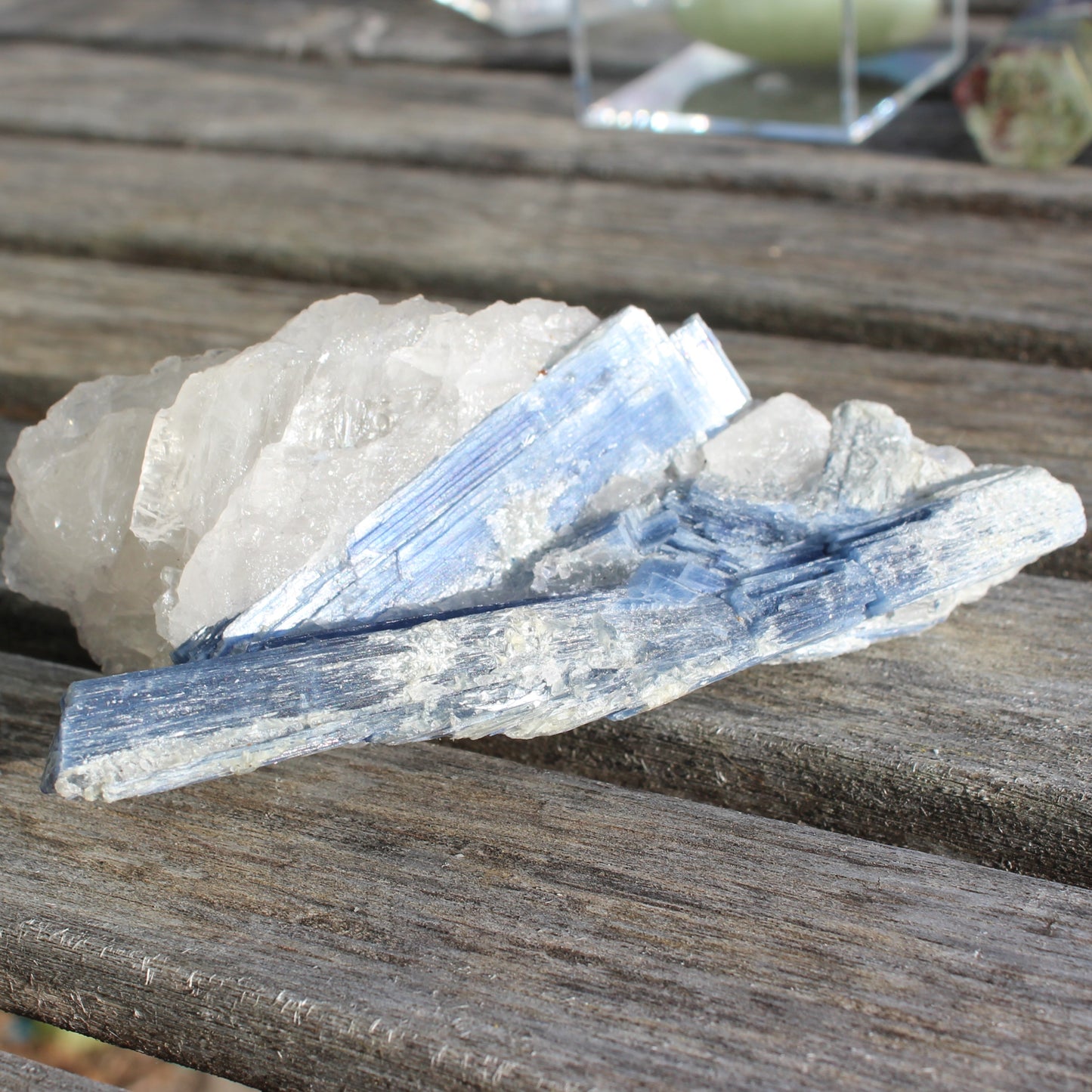 Kyanite blade cluster on clear Quartz 315g Rocks and Things