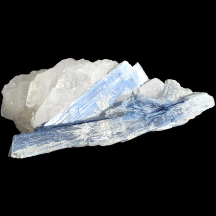Kyanite blade cluster on clear Quartz 315g in sunlight - Rocks and Things Store