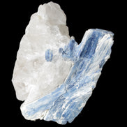 Kyanite blade cluster on Quartz 102*56*42mm 265g in sunlight - Rocks and Things Store