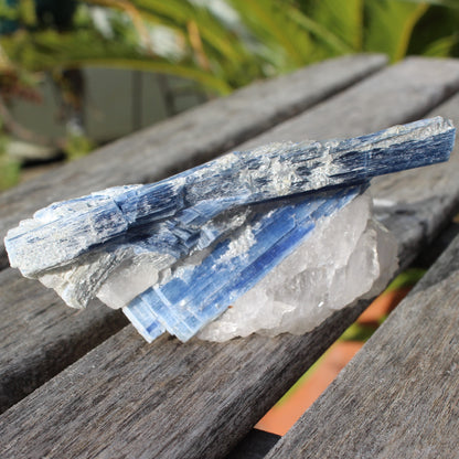 Kyanite blade cluster on clear Quartz 315g Rocks and Things