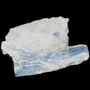 Kyanite blade cluster on Quartz 102*56*42mm 265g in sunlight - Rocks and Things Store