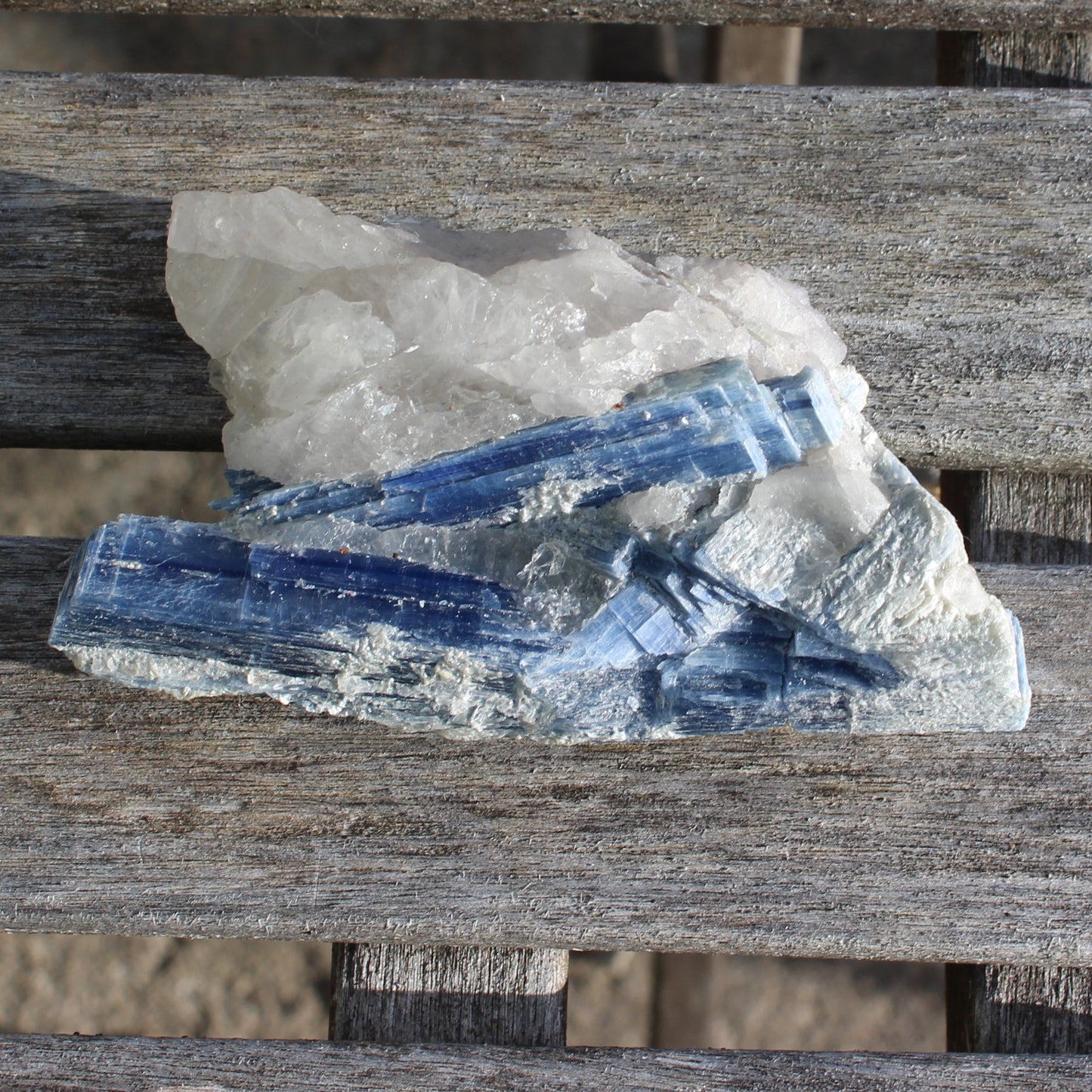 Kyanite blade cluster on clear Quartz 315g Rocks and Things