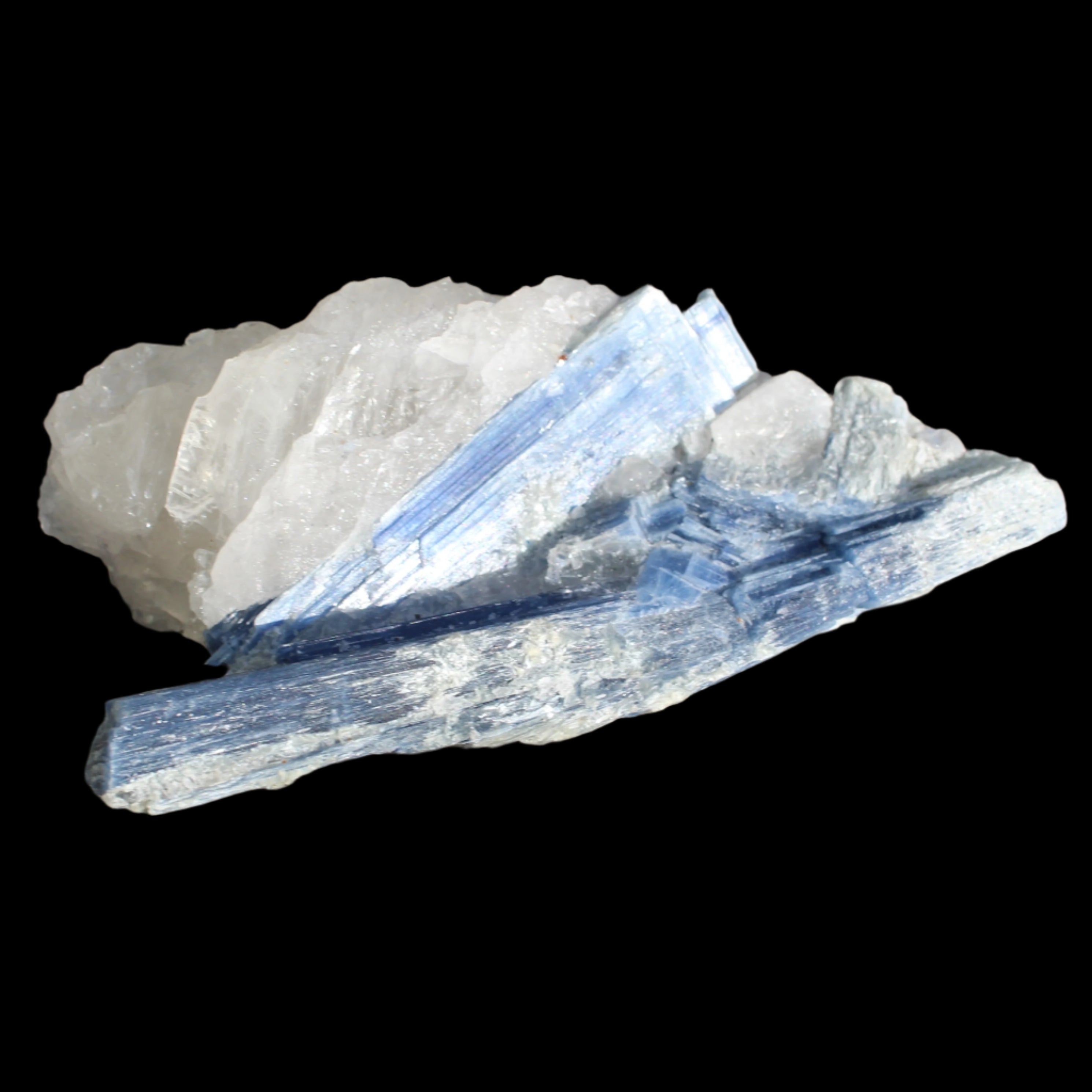 Kyanite blade cluster on clear Quartz 315g in sunlight - Rocks and Things Store