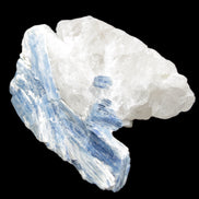 Kyanite blade cluster on Quartz 102*56*42mm 265g in sunlight - Rocks and Things Store