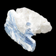 Kyanite blade cluster on Quartz 102*56*42mm 265g in sunlight - Rocks and Things Store