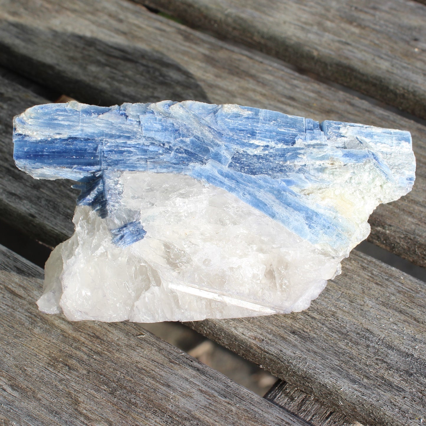 Kyanite blade cluster on clear Quartz 315g Rocks and Things