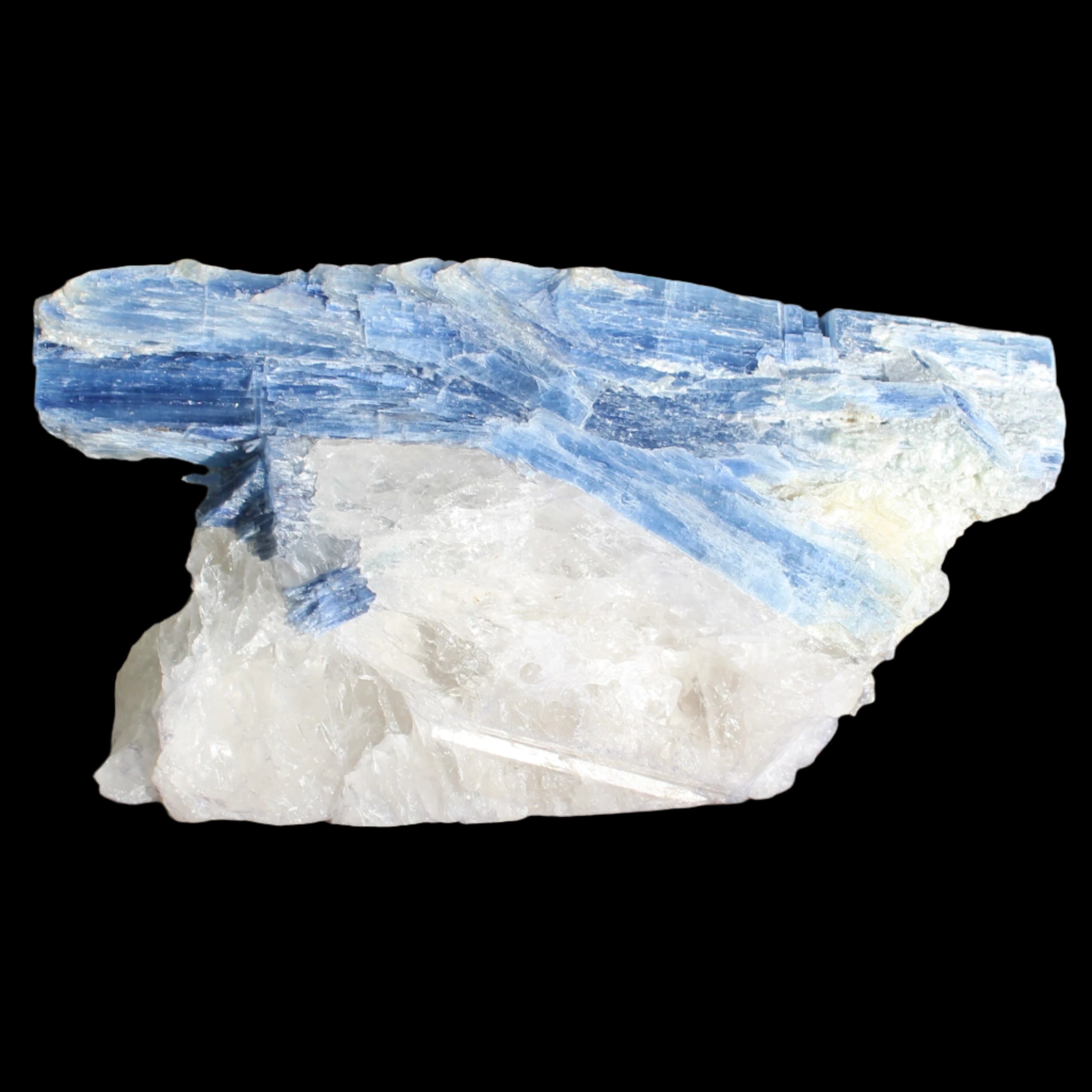 Kyanite blade cluster on clear Quartz 315g in sunlight - Rocks and Things Store